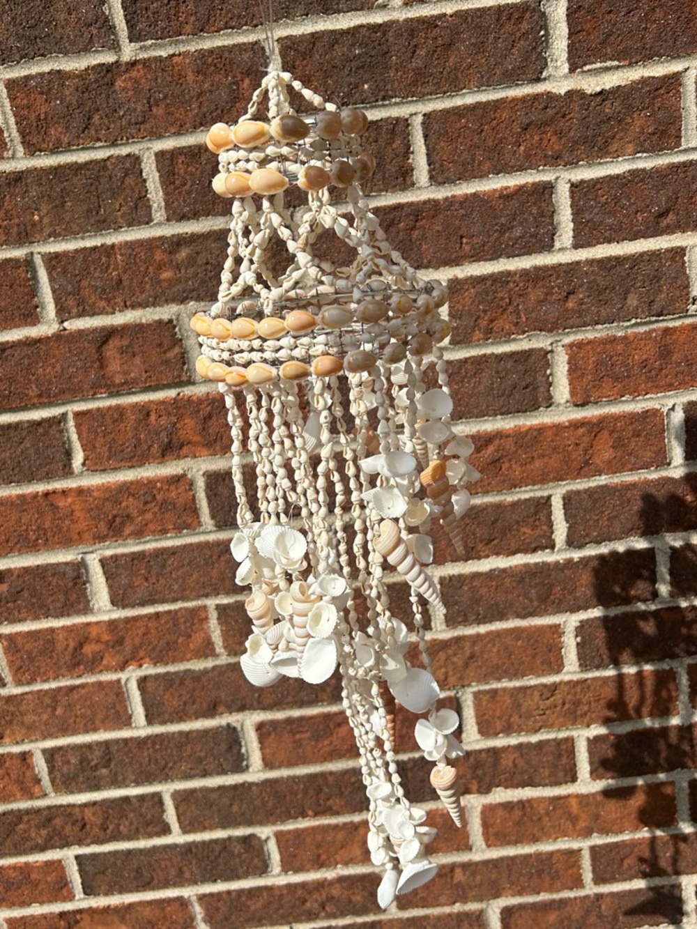 Shell chandelier - Picture 10 of 16
